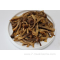 Frozen Fresh-cut Coral Fungus-300G